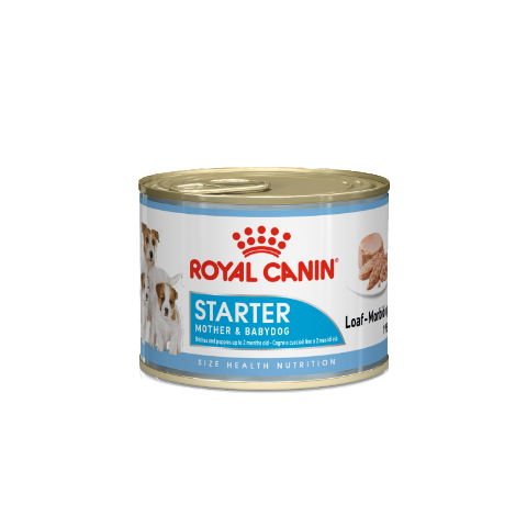 ROYAL CANIN -WET STARTER MOUSSE (12*195gr)
