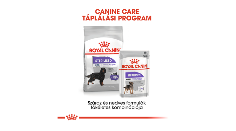 sterilized royal canin